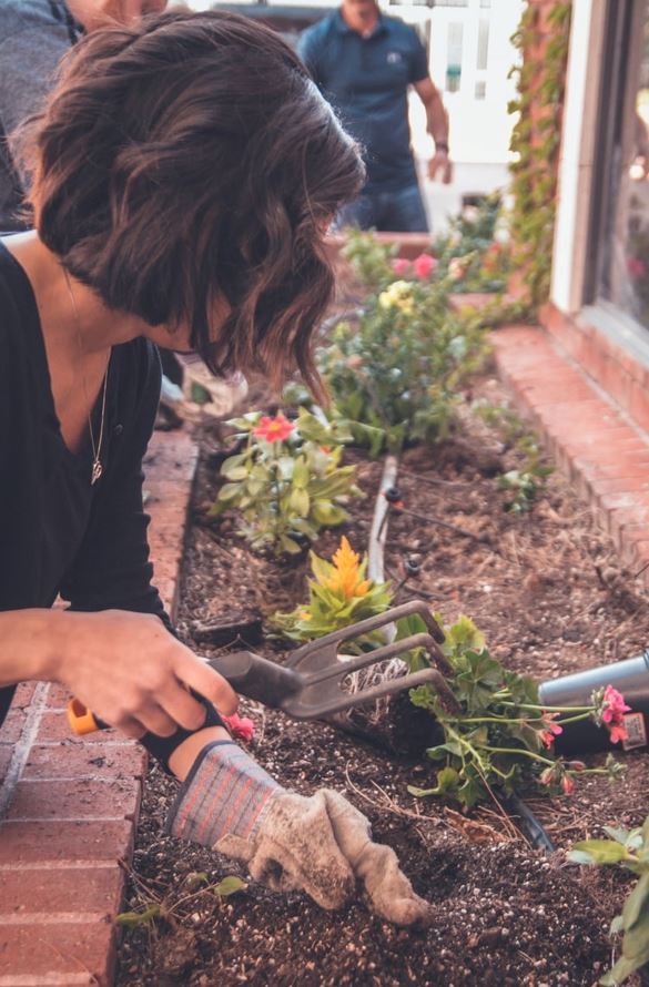 Read more about the article Trænger din have til en kærlig hånd?